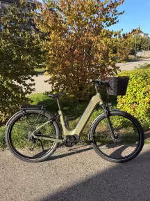 Kalkhoff Entice 5.B Season