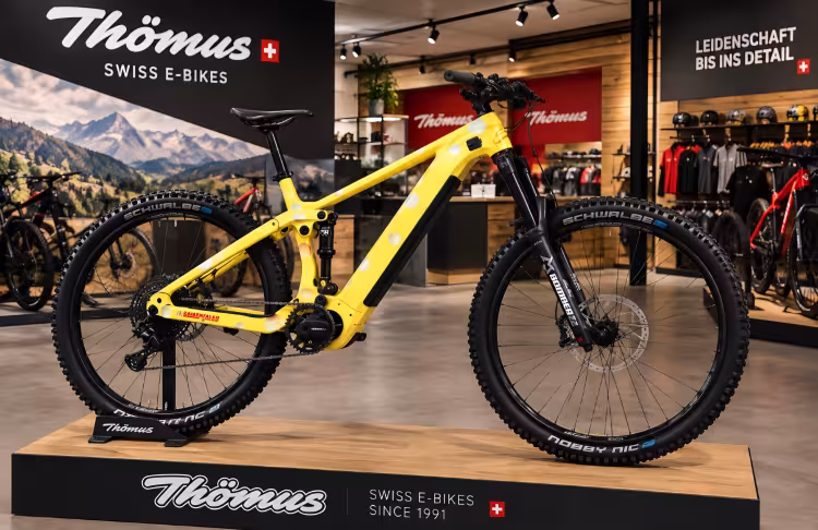 Thömus Lightrider E2 29 Eco M Xt