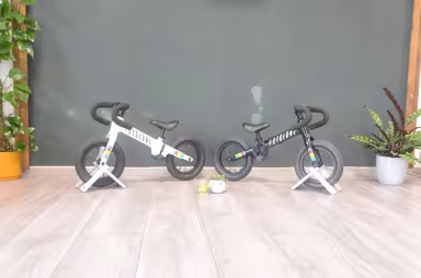 Cyclosonic Draisienne