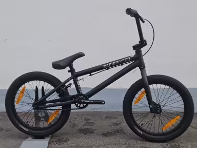Radio Bikes Dice-18