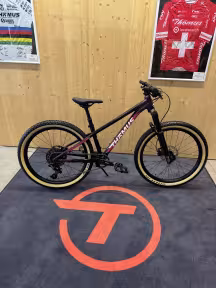 Thömus Youngrider