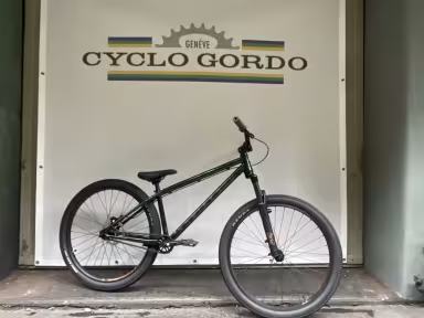NS Bikes Metropolis 3