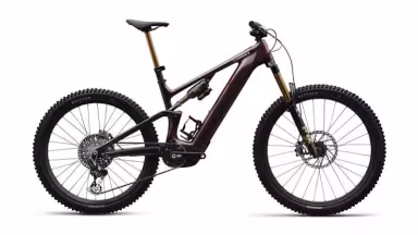 SPECIALIZED Levo S-Works G4