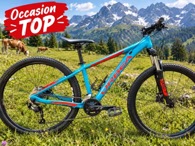 Orbea Mx