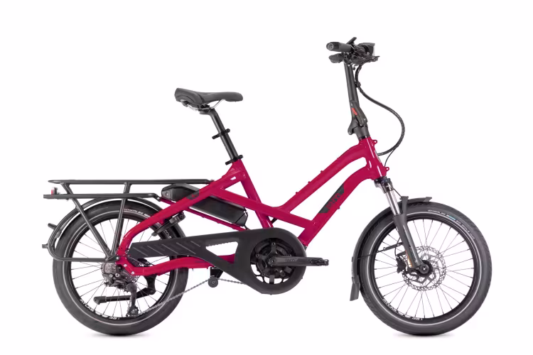 TERN Hsd P10