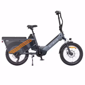 Engwe Le20 Cargo 2X Batterien
