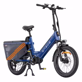 Engwe Le20 Cargo 2X Batterien